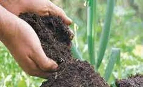 রেডিমিক্স মাটি I