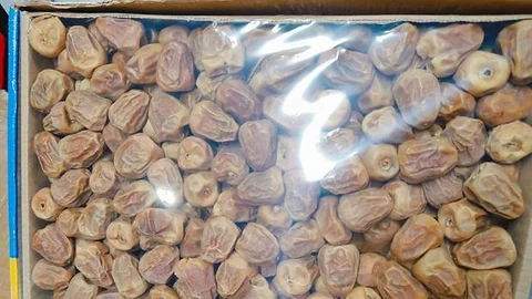 সুক্কারি খেজুর