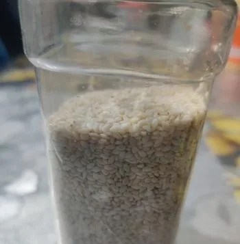 SESAME / TIL - তিল