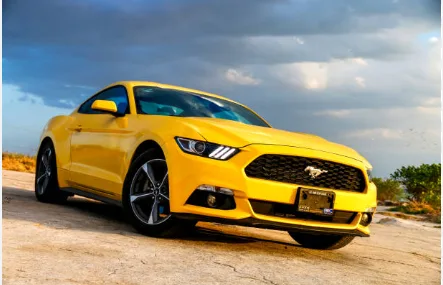 Yellow Driver Wanted