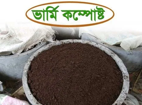 ভার্মিকম্পোস্ট সার I