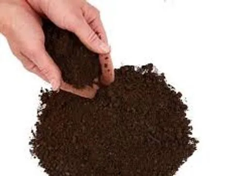 জৈব সার