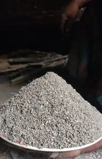 হাড়ের গুড়া