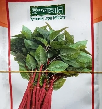 বীজ সেল