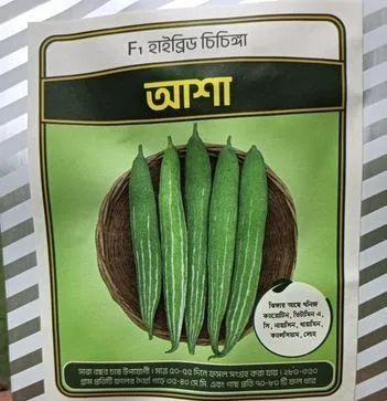 বীজ সেল