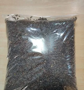 তোকমা দানা BASIL SEEDS