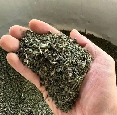 অর্গানিক গ্রিন টি