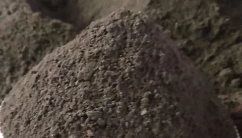 রেডিমিক্স সয়েল