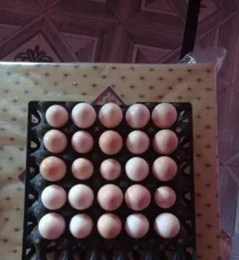 দেশি মুরগির ডিম