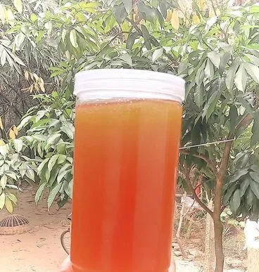 সিজন ফ্রেশ সরিষা ফুলের মধু