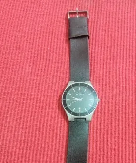 Skagen watch