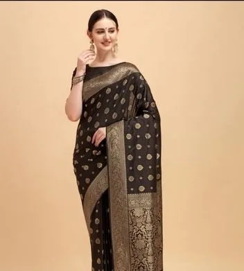 Saree & Blouse