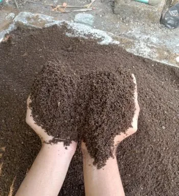 গোবর সার