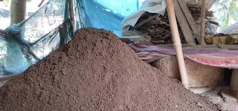 কেঁচো সার;ভার্মি কম্পোস্ট সার;কেচো সার