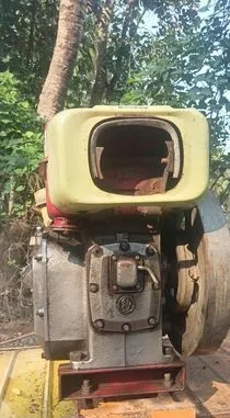 হাল চাষ করা পেতনি