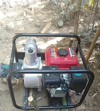 পেট্রোল পাম্প বিক্রি করা হবে ।