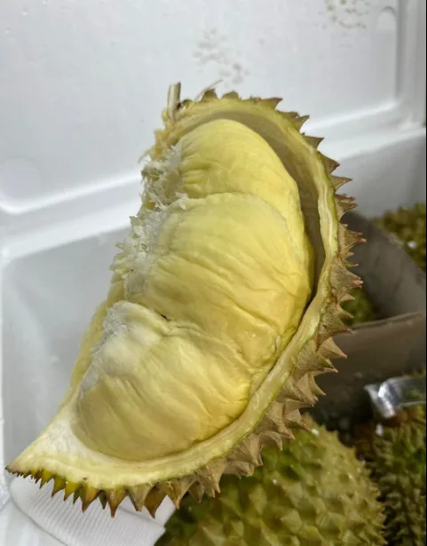 DURIAN