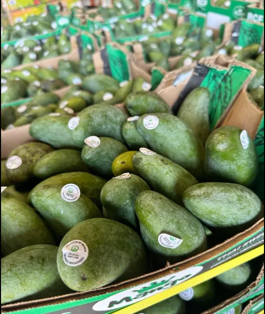 Mango