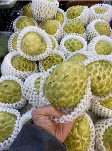 Fruits