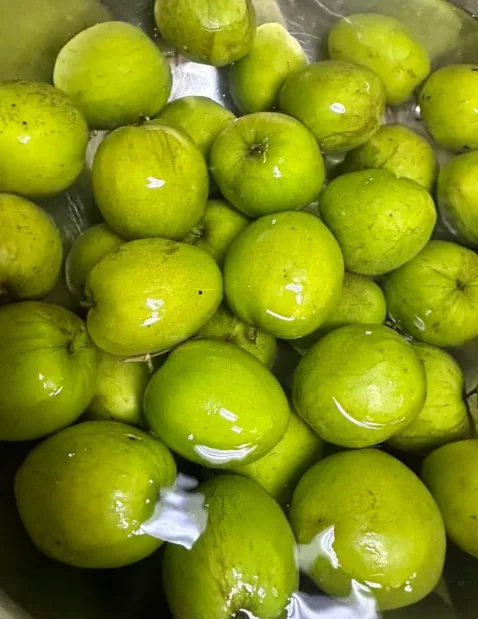 fruits