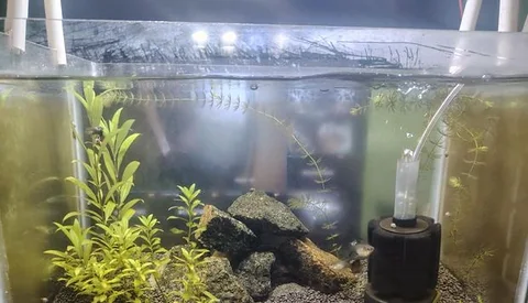 Aquarium Full setup Crystal glass