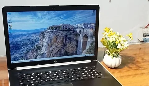 Hp  dual core 17.'3"