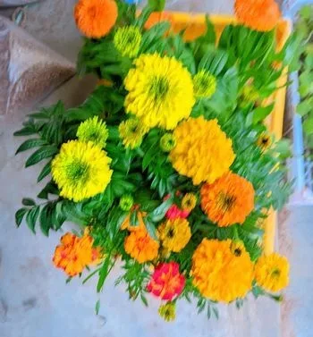 ফুলের গাছ