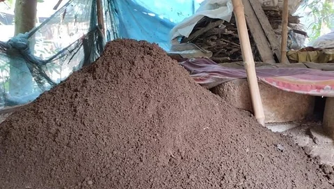 ভার্মিকম্পোস্ট কেঁচো সার