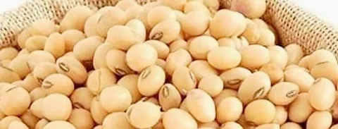 সয়াবিন দানা বিক্রি হবে