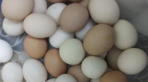 দেশি মুরগির ডিম
