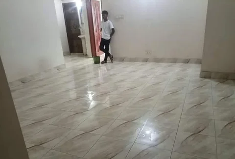 Room Mate Needed