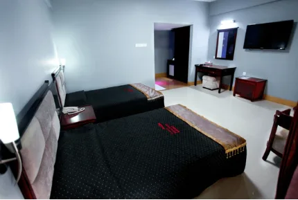 Room Mate Needed