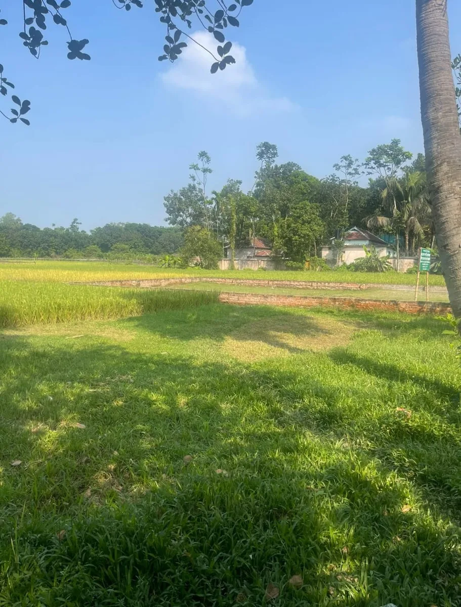 রেডি প্লট বিক্রি