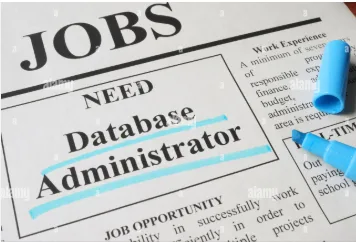 Database Administrator