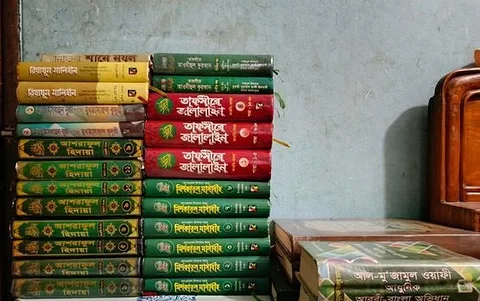 Madrasar boi