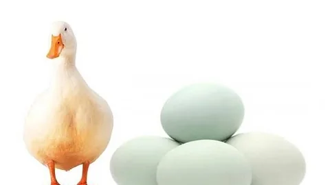 হাঁসের ডিম