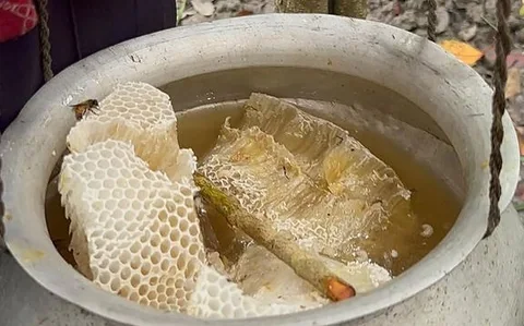 খলিসার মধূ