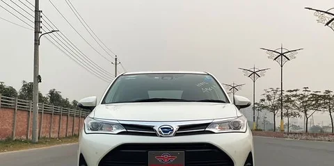Toyota Fielder G-LED 4.5-Grade 2019