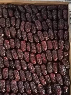 কলমি মরিয়ম খেজুর