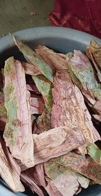 অর্জুন গাছের ছাল