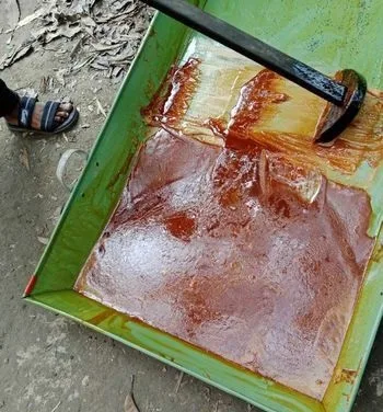 রাজশাহীর অরিজিনাল খেজুরের গুড়