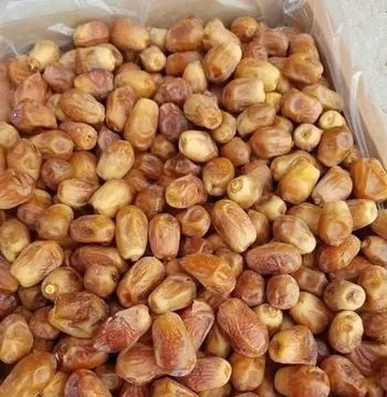 সব ধরনের খেজুর আছে