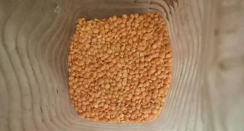 মসুরী ডাল