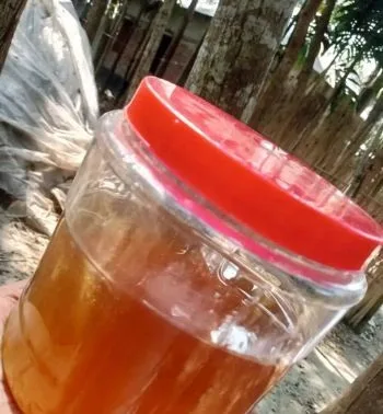 মধু