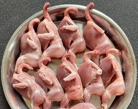 কোয়েল পাখির মাংস