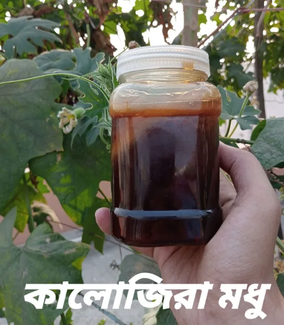 কালোজিরা ফুলের মধু