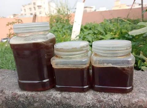 কালোজিরা মধু