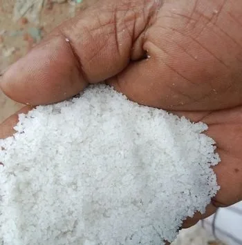 সাদা দেশীয় খোলা লবন