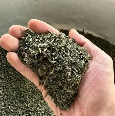 অর্গানিক গ্রিন টি