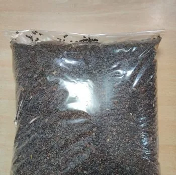তোকমা দানা